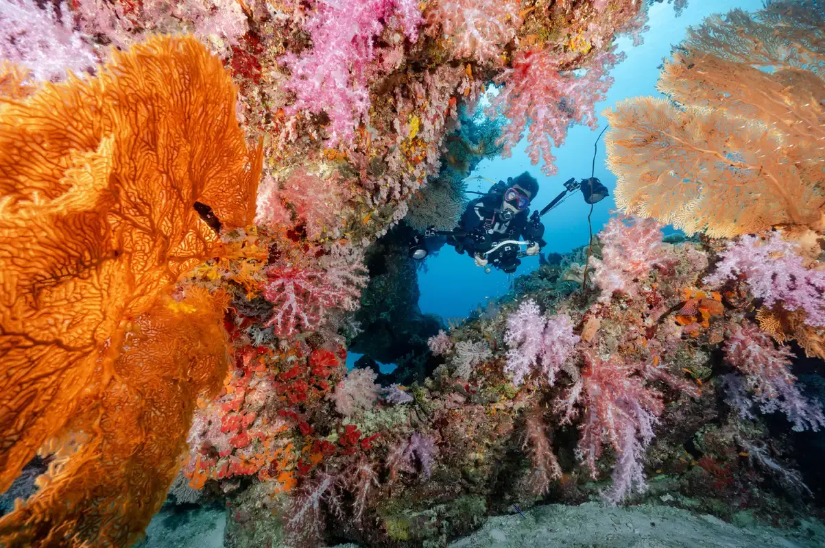 Similan Islands Tour from Phuket by Catamaran