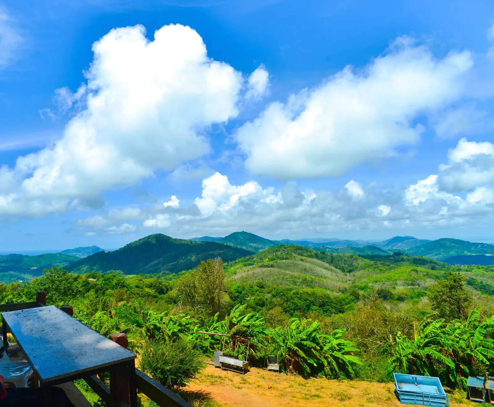 Phuket ATV Adventure