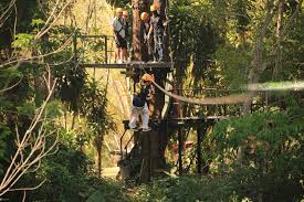 Phuket ATV & Zipline Combo