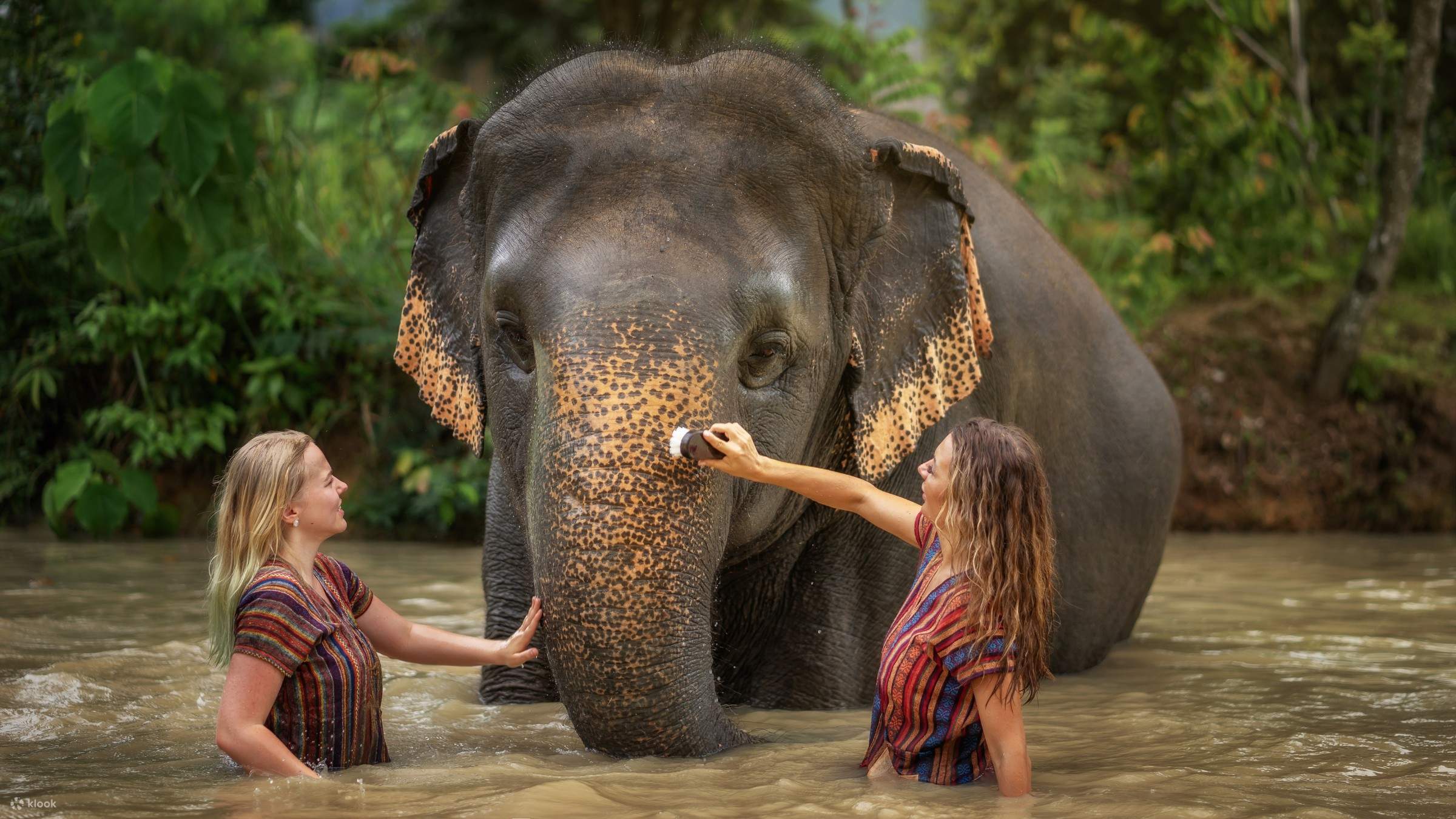 Phuket Elephant Sanctuary