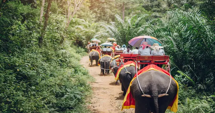 Phuket Elephant Sanctuary