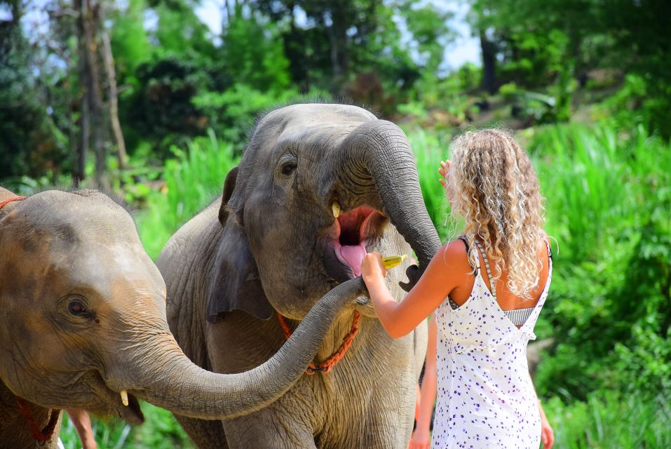 Phuket Elephant Sanctuary