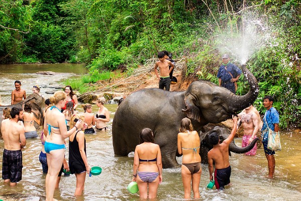 Phuket Elephant Sanctuary