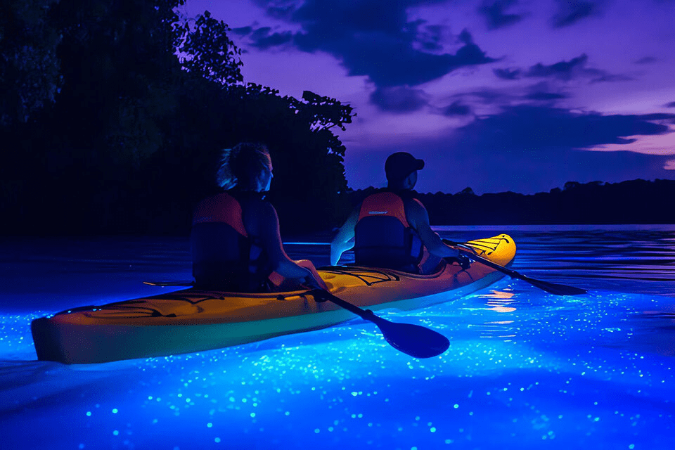 SUNSET & Bioluminescent PLANKTON BY KAYAK TOUR
