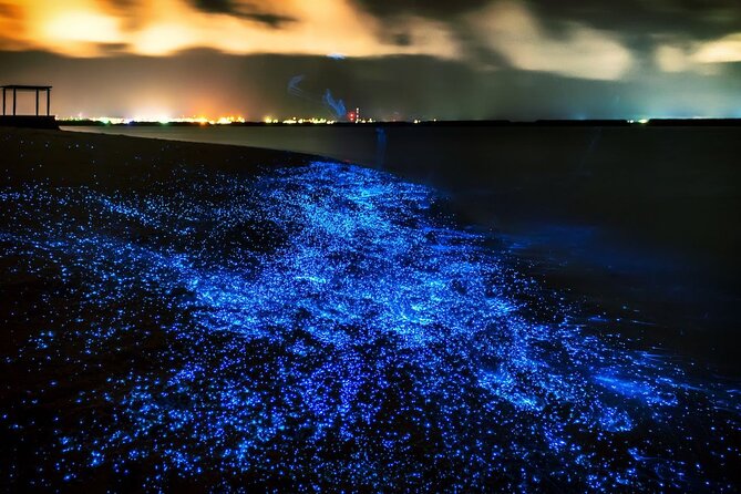 SUNSET & Bioluminescent PLANKTON BY KAYAK TOUR