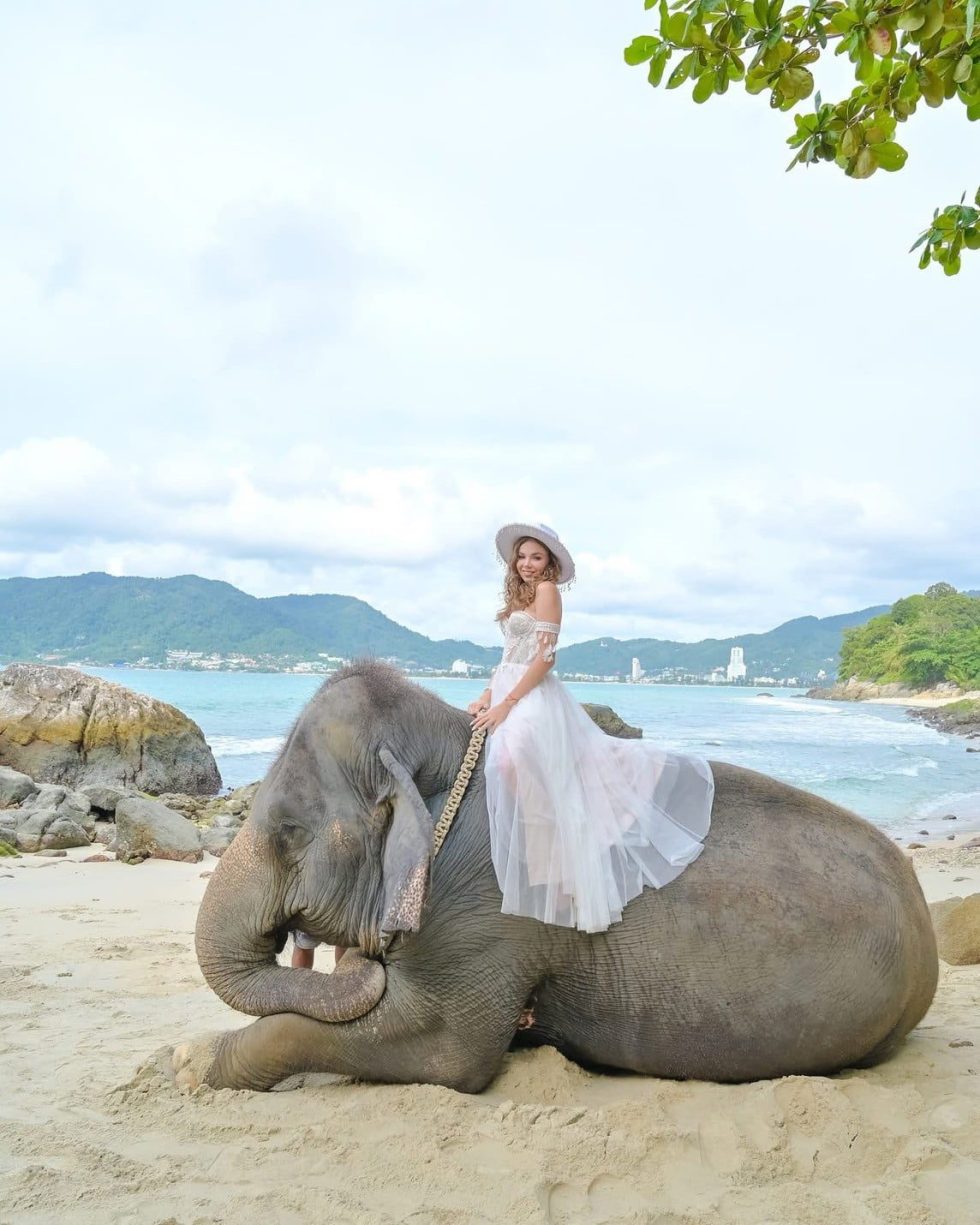 Elephant on the Beach Phuket