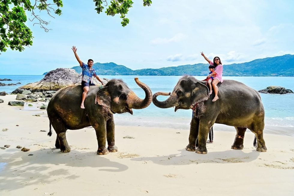 Elephant on the Beach Phuket
