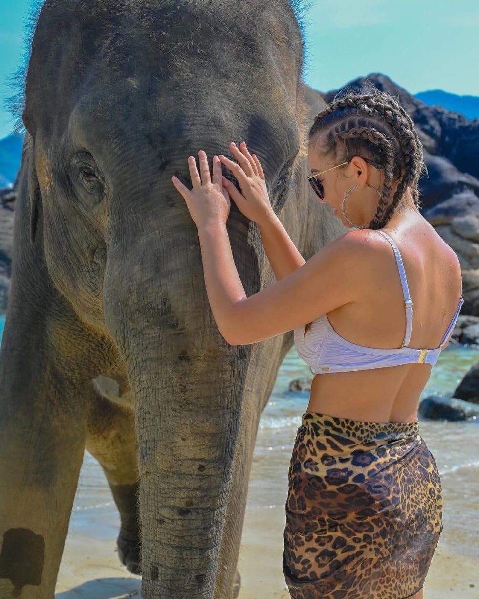 Elephant on the Beach Phuket