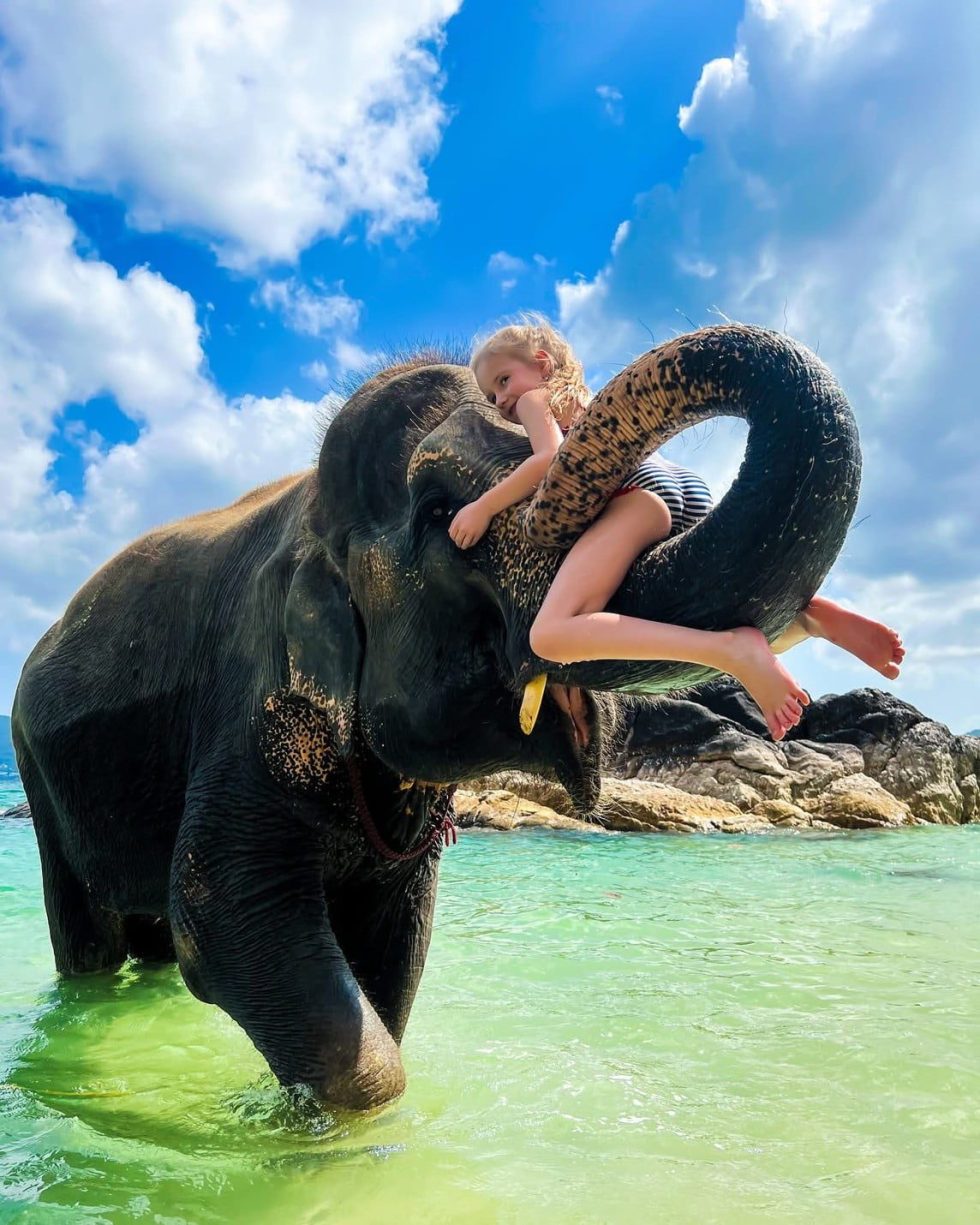 Elephant on the Beach Phuket