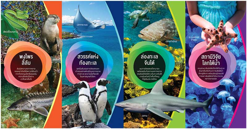 Aquaria Phuket – Thailand’s Largest Aquarium Experience