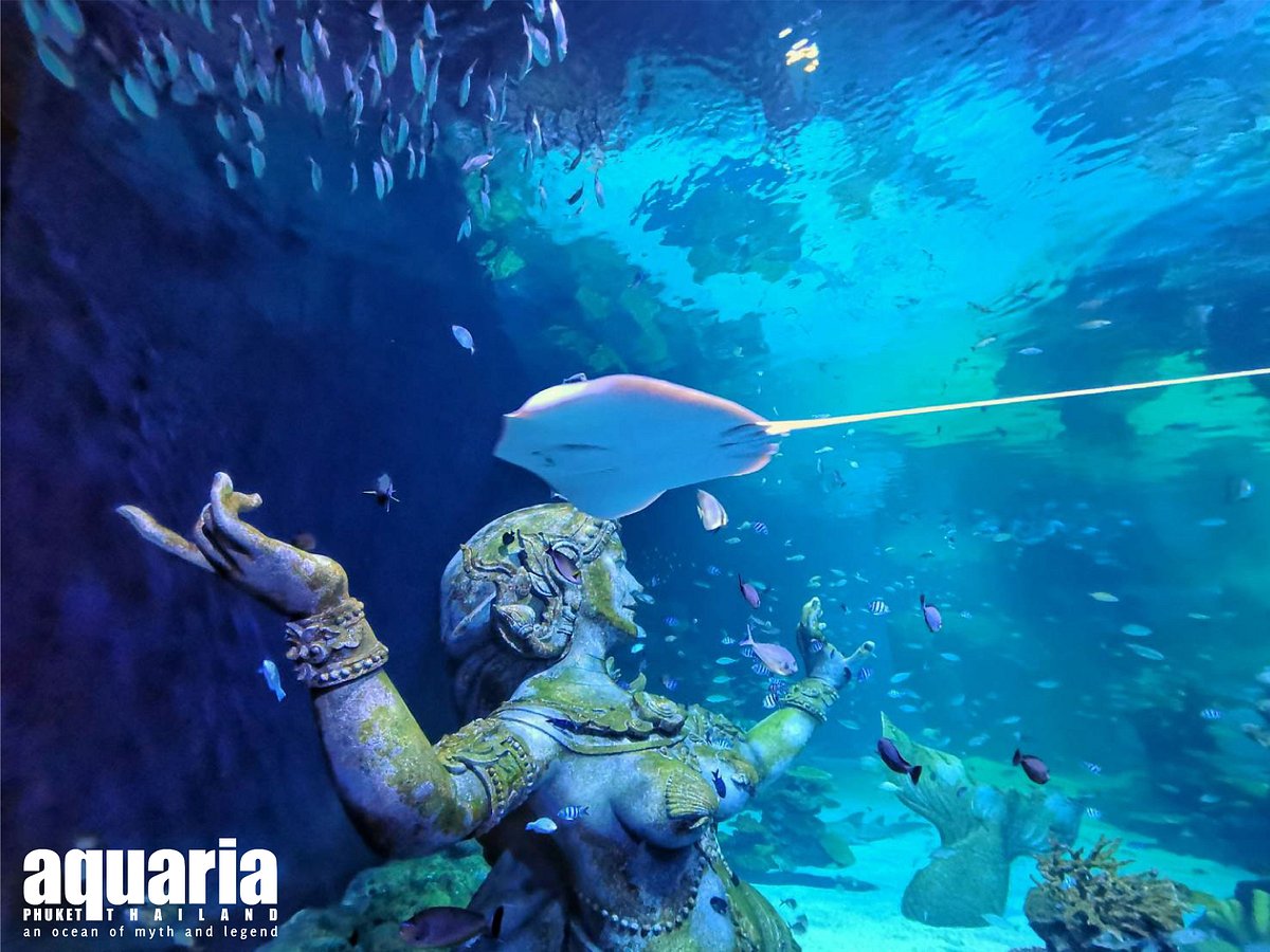 Aquaria Phuket – Thailand’s Largest Aquarium Experience