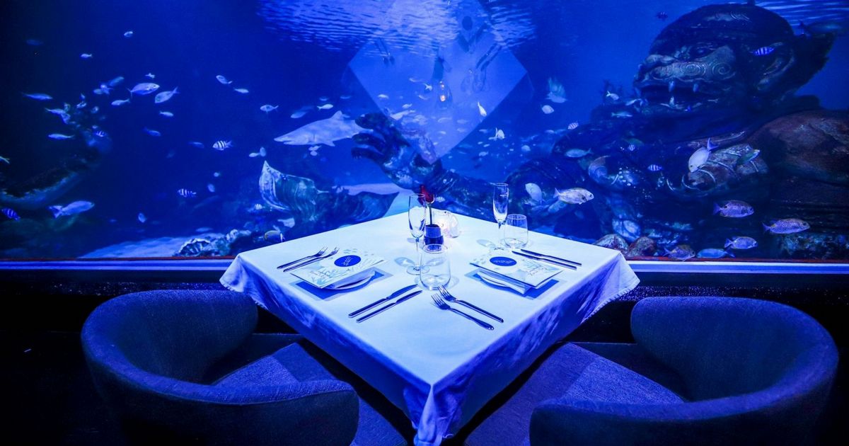 Aquaria Phuket – Thailand’s Largest Aquarium Experience