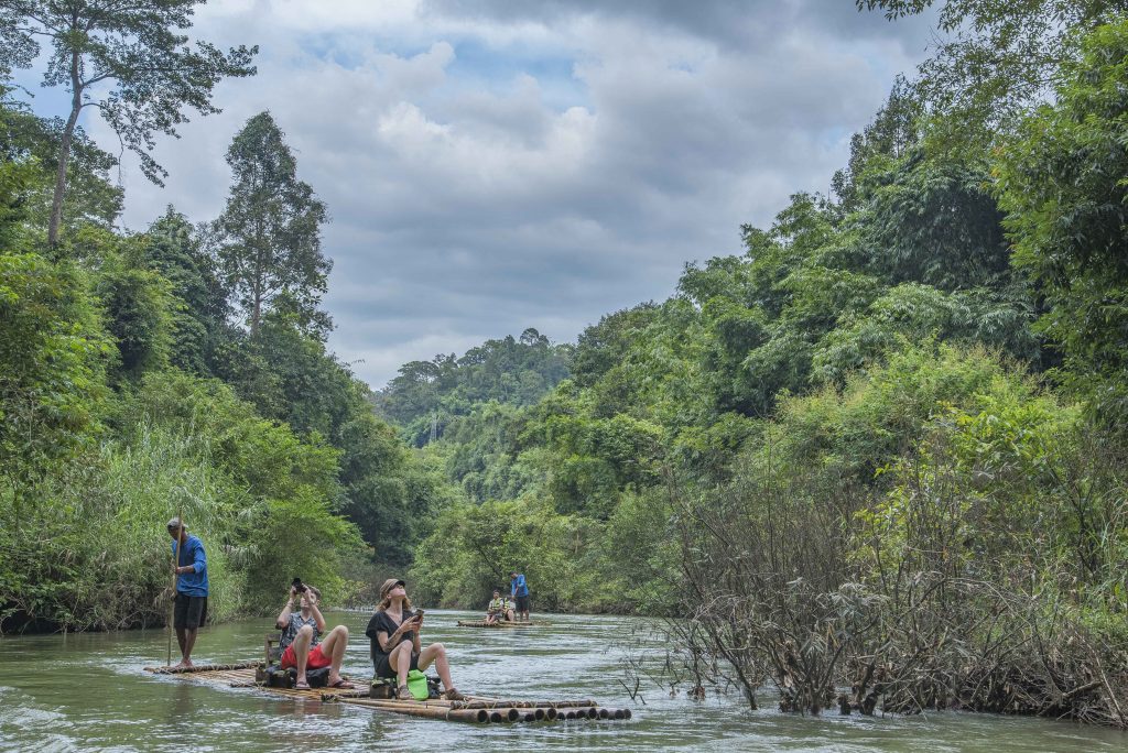 Bamboo Rafting at Khao Sok National Park