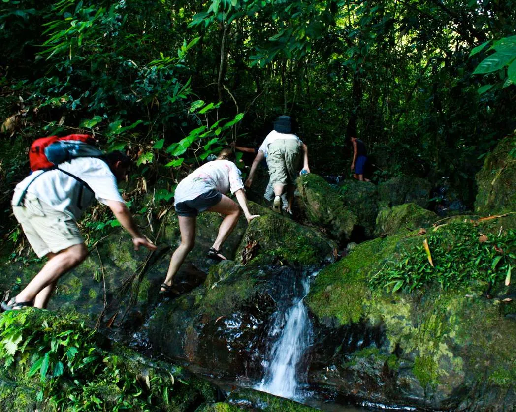 Hiking at Khao Sok National Park Half Day