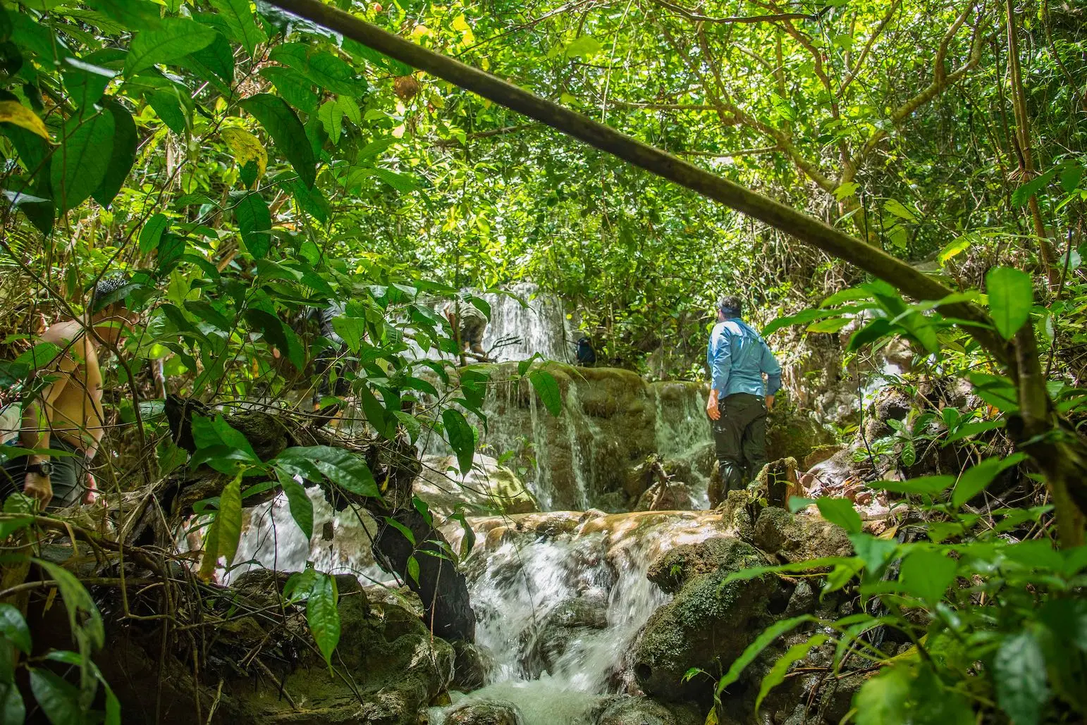 Hiking at Khao Sok National Park Half Day