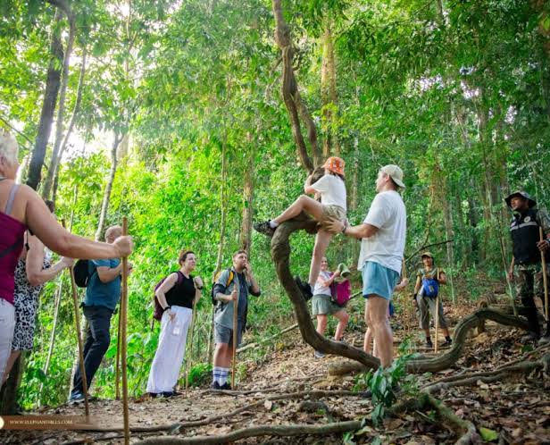 Hiking at Khao Sok National Park Half Day