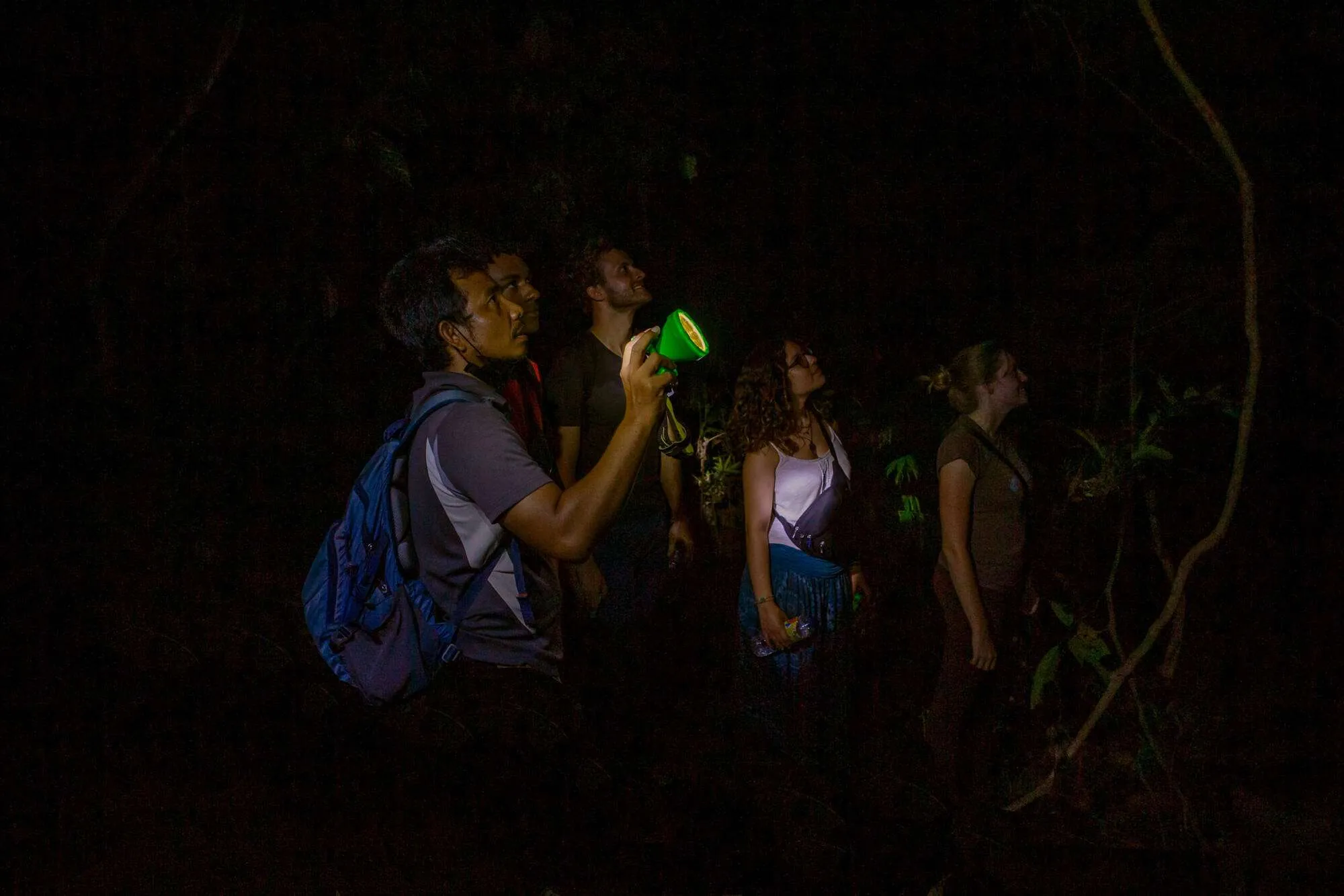 Khao Sok Night Safari Jungle Walk