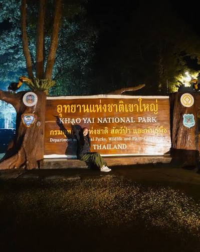 Khao Sok Night Safari Jungle Walk