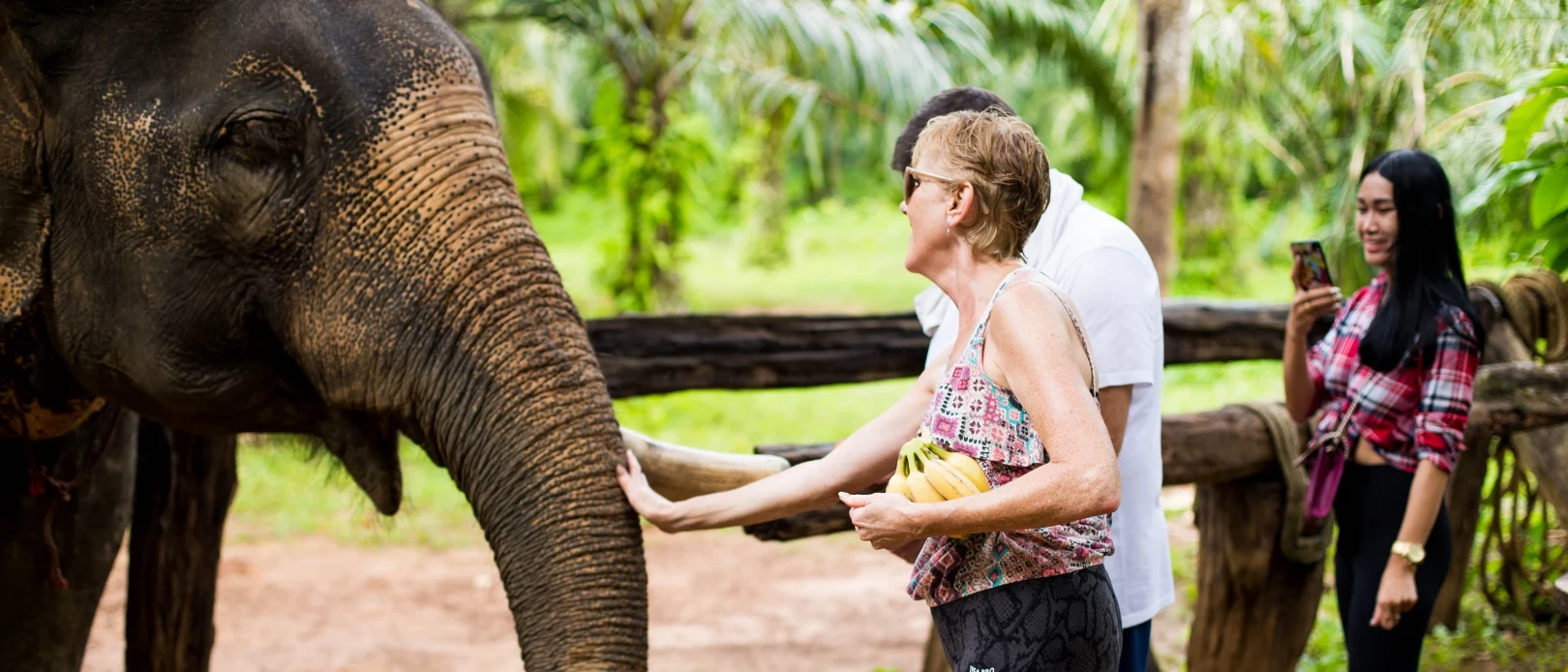 Khao Sok Elephant Experience