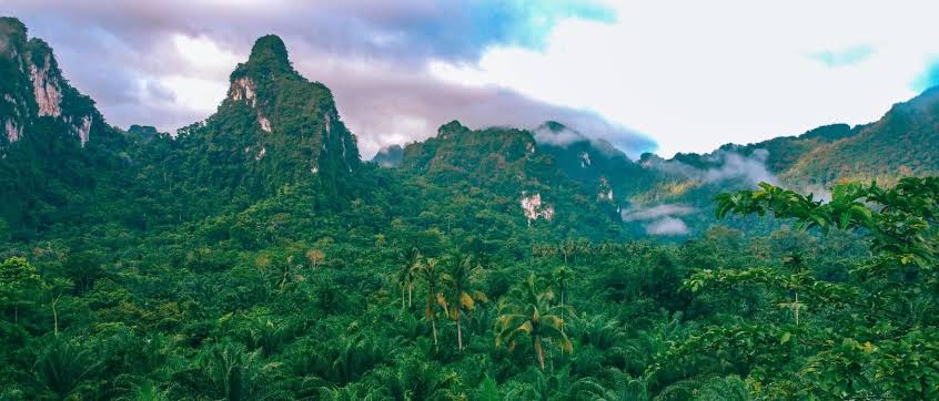 Khao Sok Bird Watching