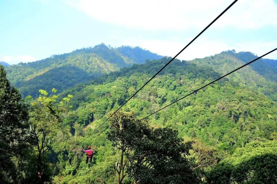 Khao Sok Zipline Adventure