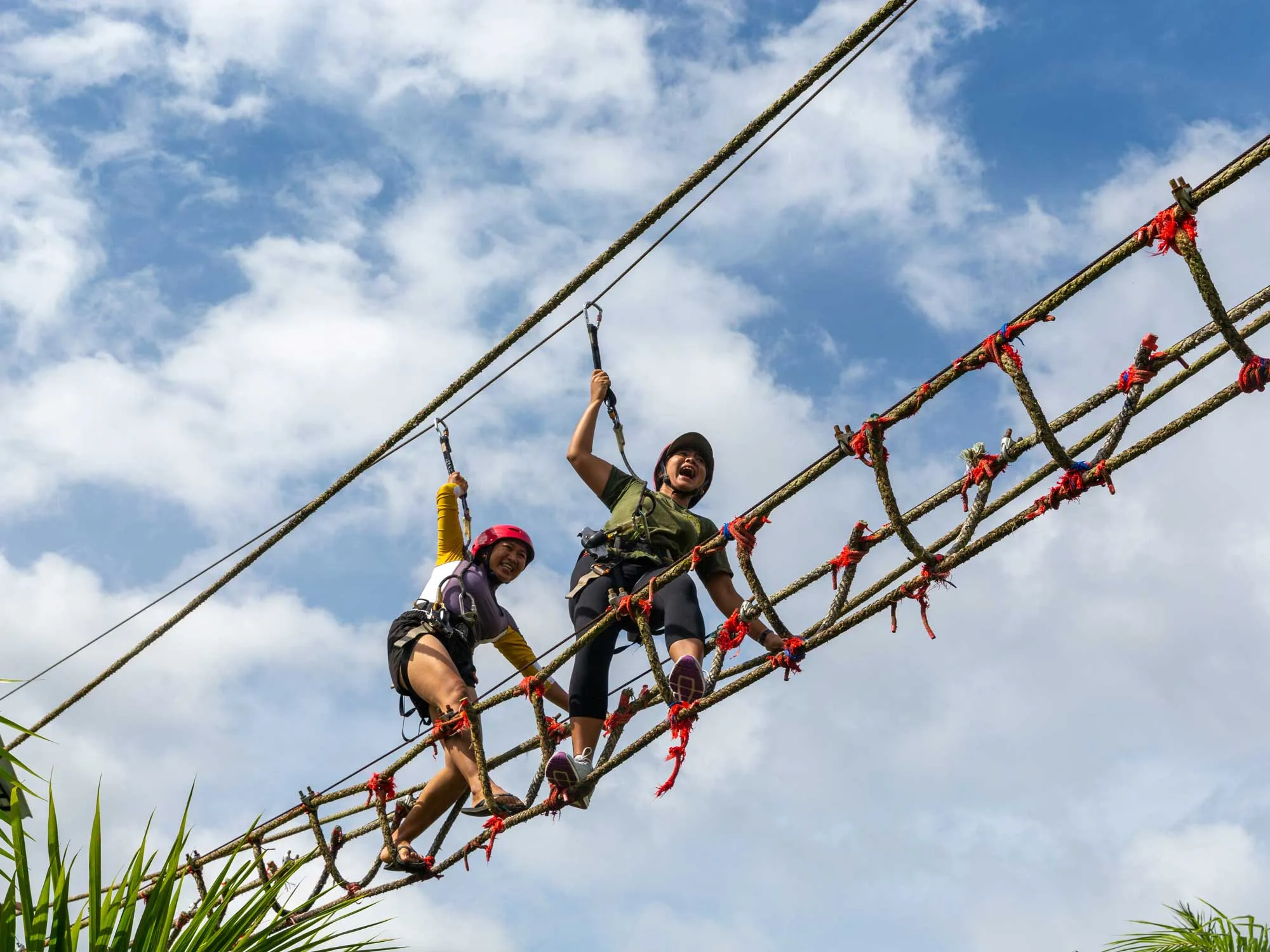 Khao Sok Zipline Adventure