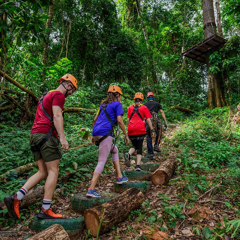 Khao Sok Zipline Adventure