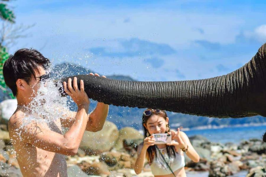Elephant on the Beach Phuket