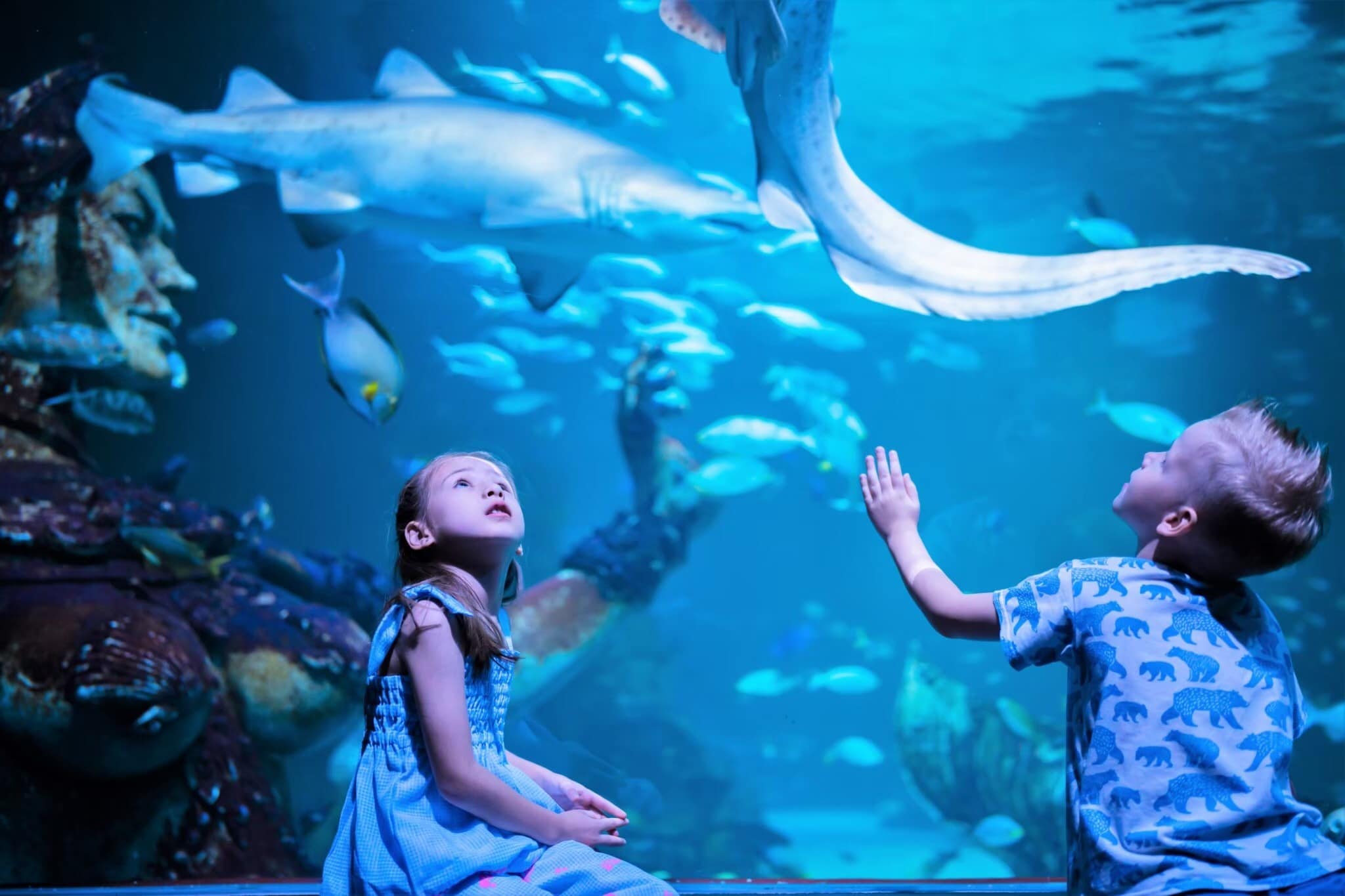 Aquaria Phuket – Thailand’s Largest Aquarium Experience