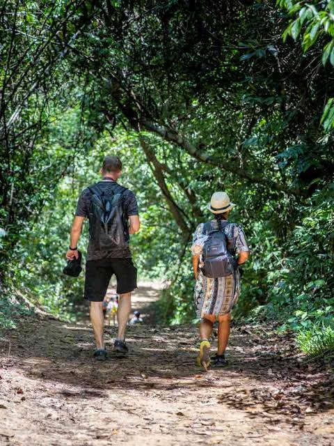 Hiking at Khao Sok National Park Half Day
